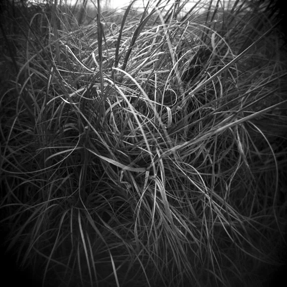 0737.lisacohen.050107.jpg