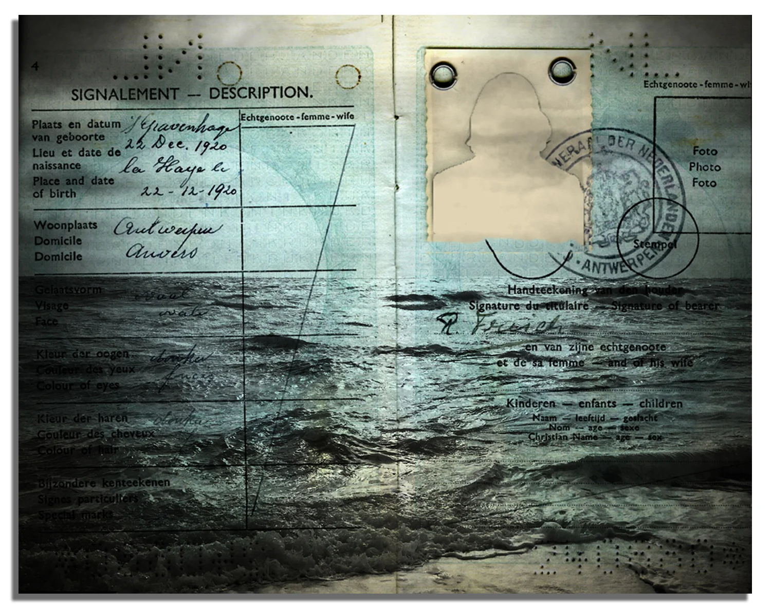 Passport Seas drop shadow.jpg