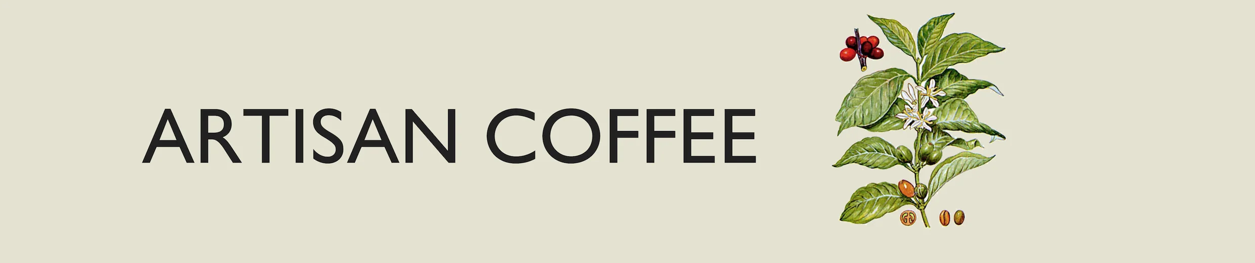 COFFEE.jpg
