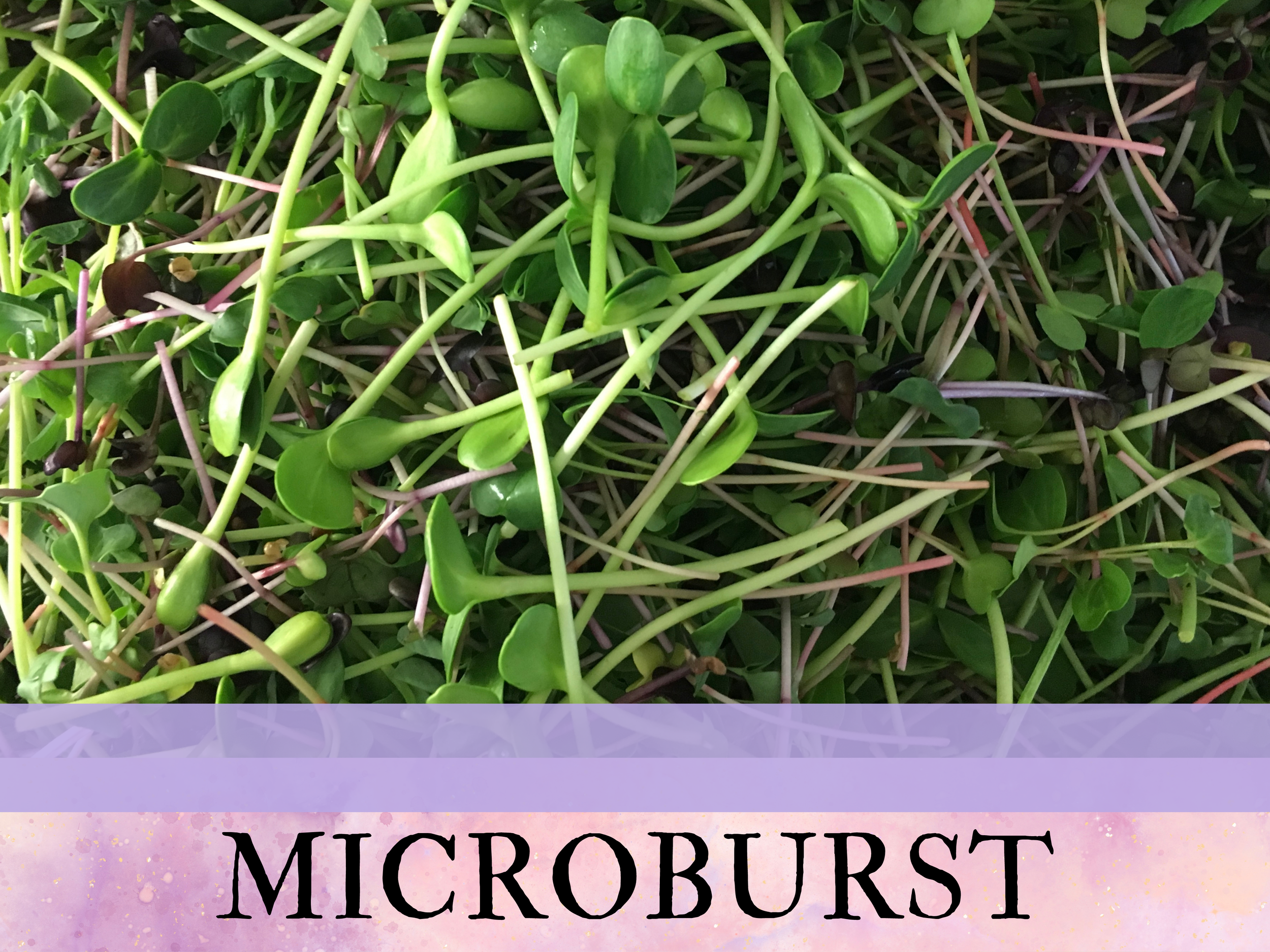  A beautiful mix of Pea, Sunflower &amp; Radish - nutty, sweet and a hint of spice. The perfect balance of flavor for any dish.  Available All Year, in 3oz clamshells or by the pound 