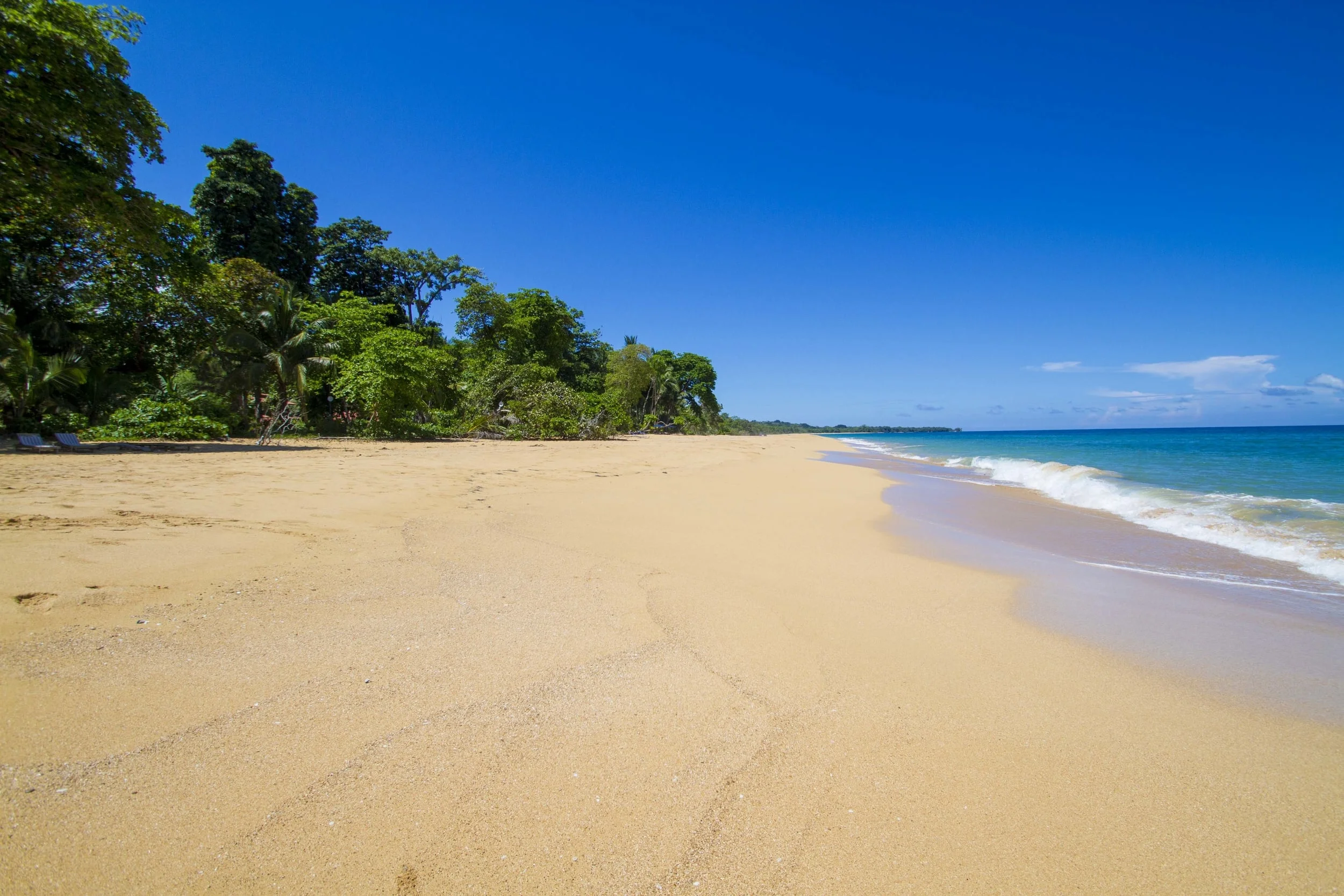 Photo by Luke Scherba. Playa Bluff, Bocas del Toro, Panama