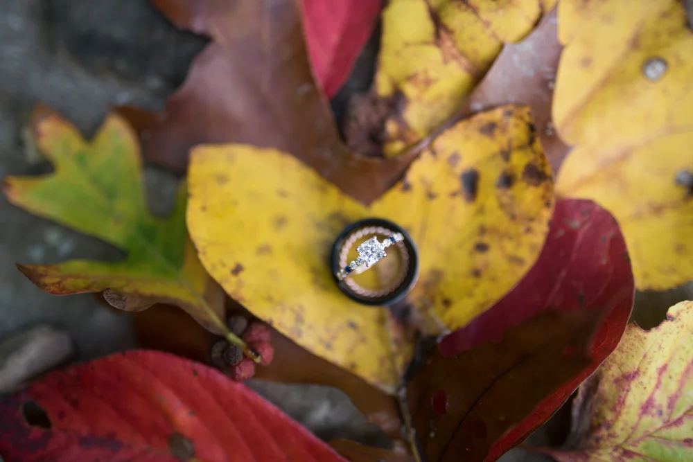 DSC_1454kfp.jpg