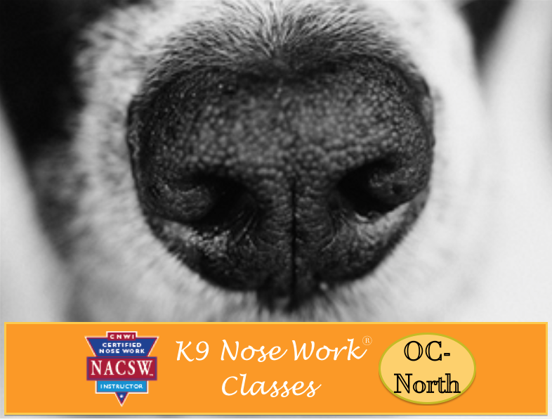 Weekly K9 Nose Work Classes, North Orange County, CA