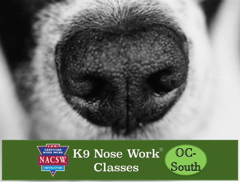 Weekly So OC K9 Nose Work® Classes