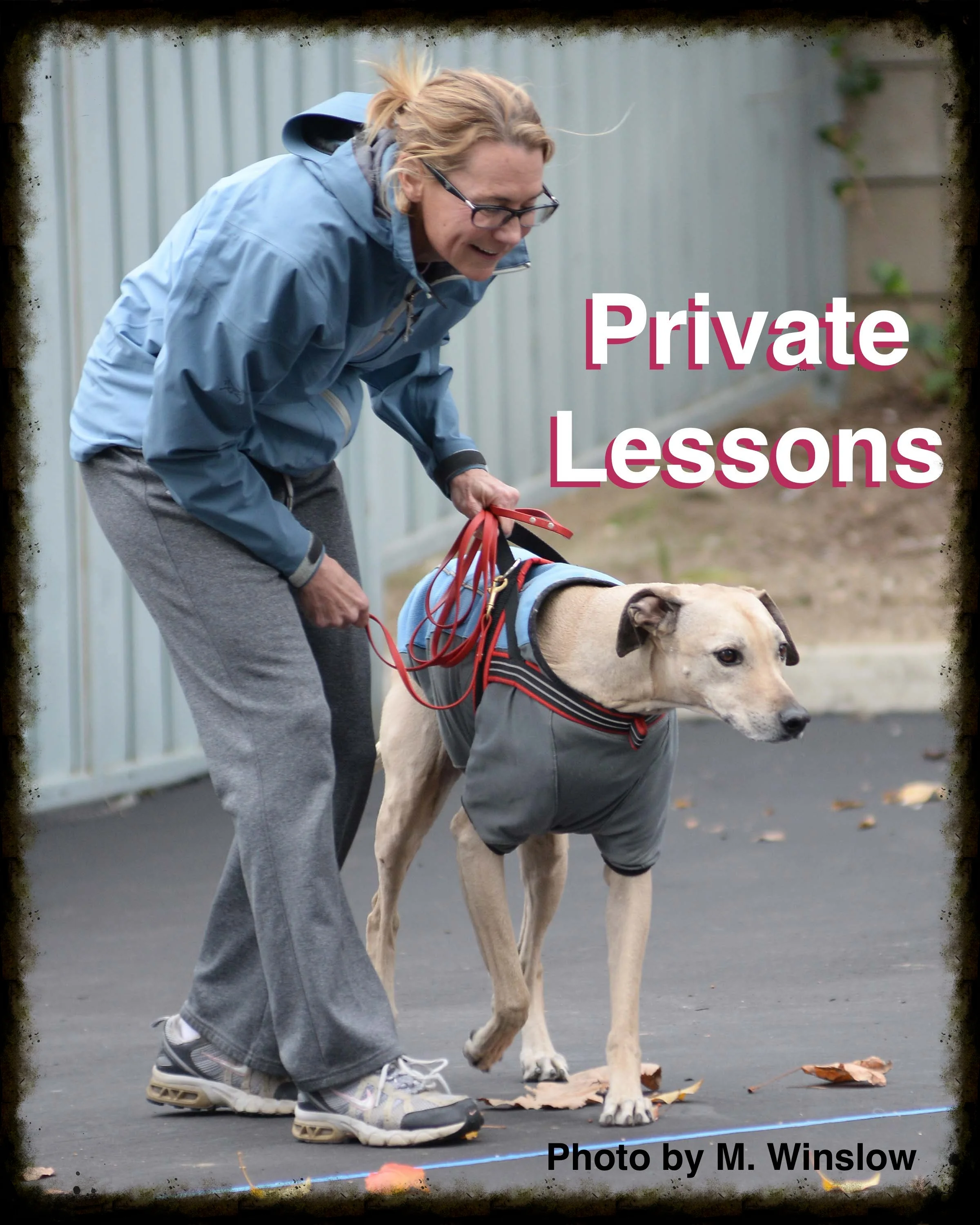 New Piper Pic for Website copy 2.jpg