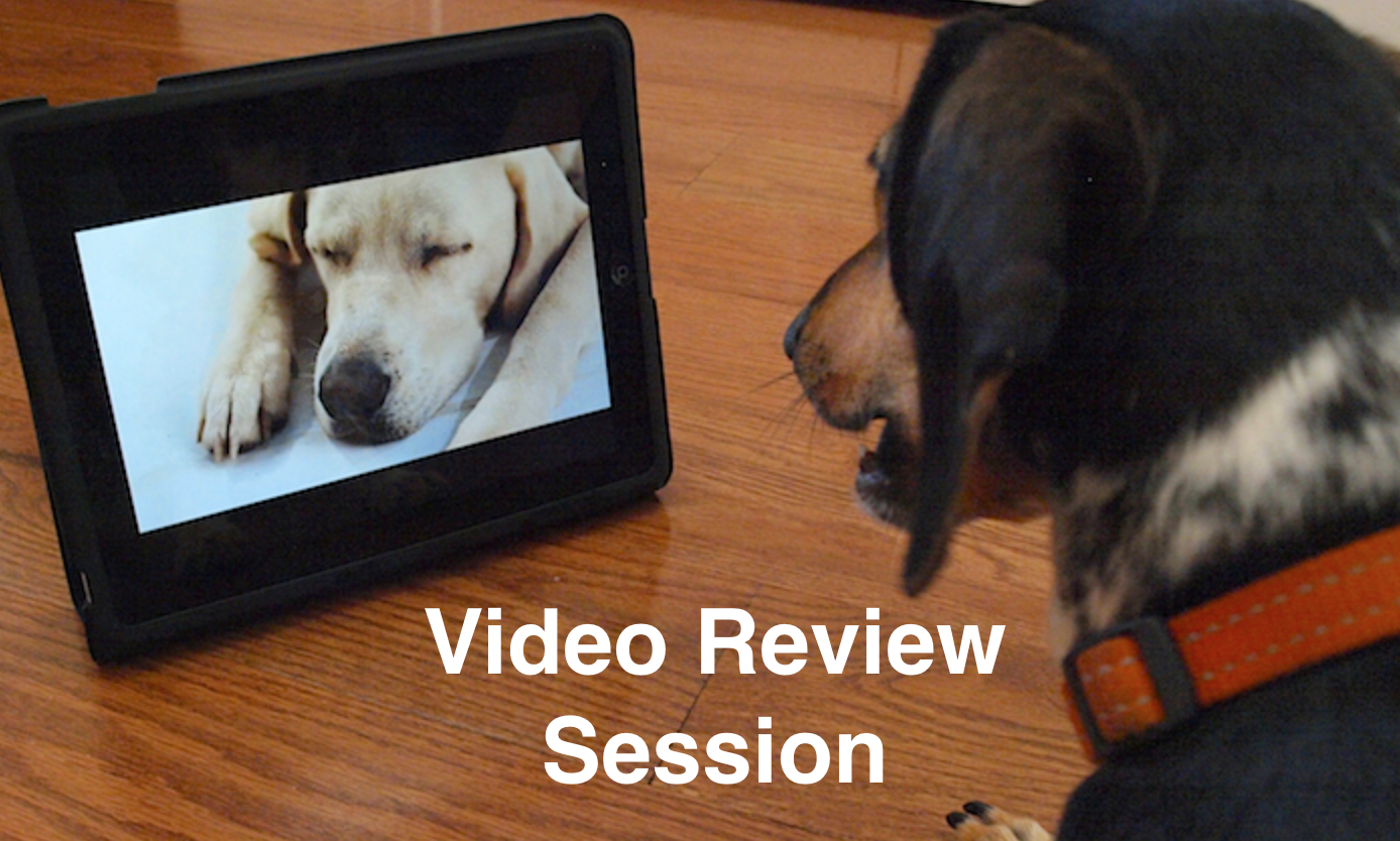 Video Review Session