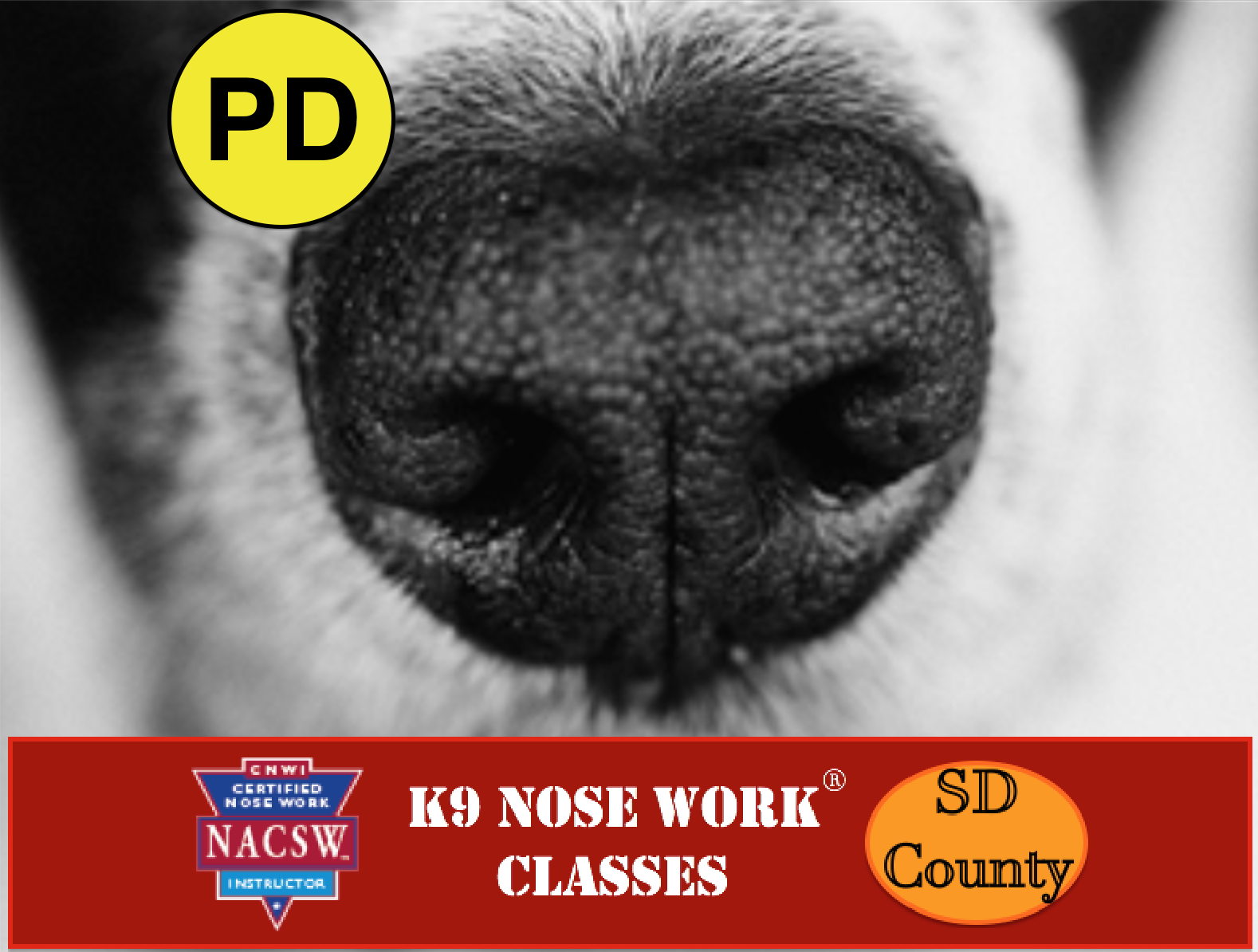 Weekly SD K9 Nose Work® Classes