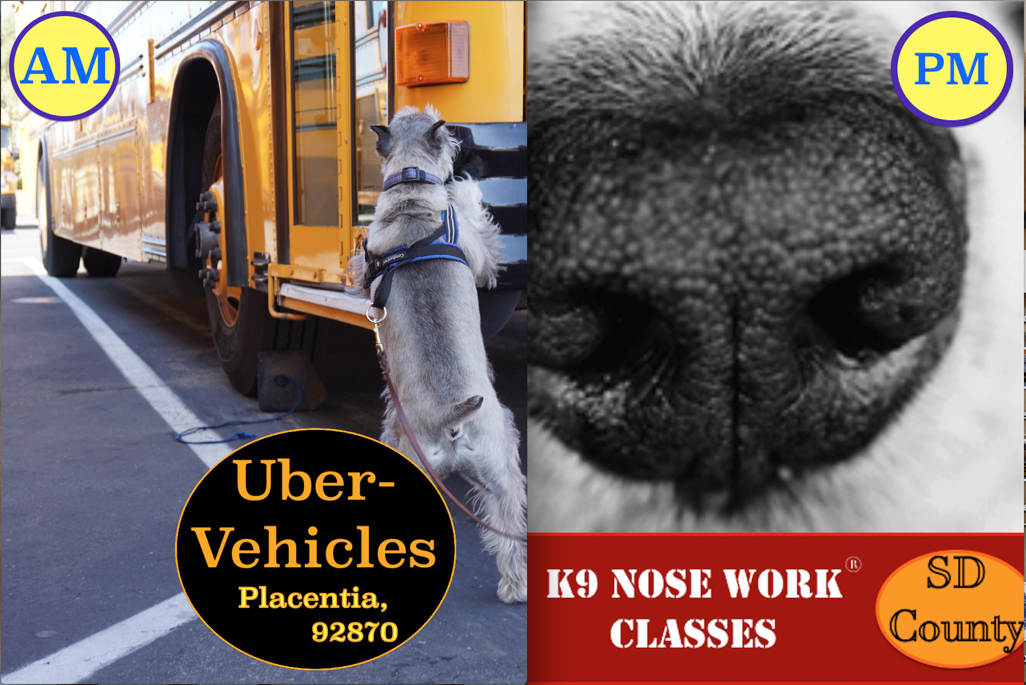 Uber-Vehicles (2 sessions, 8:15am & 10:15am)