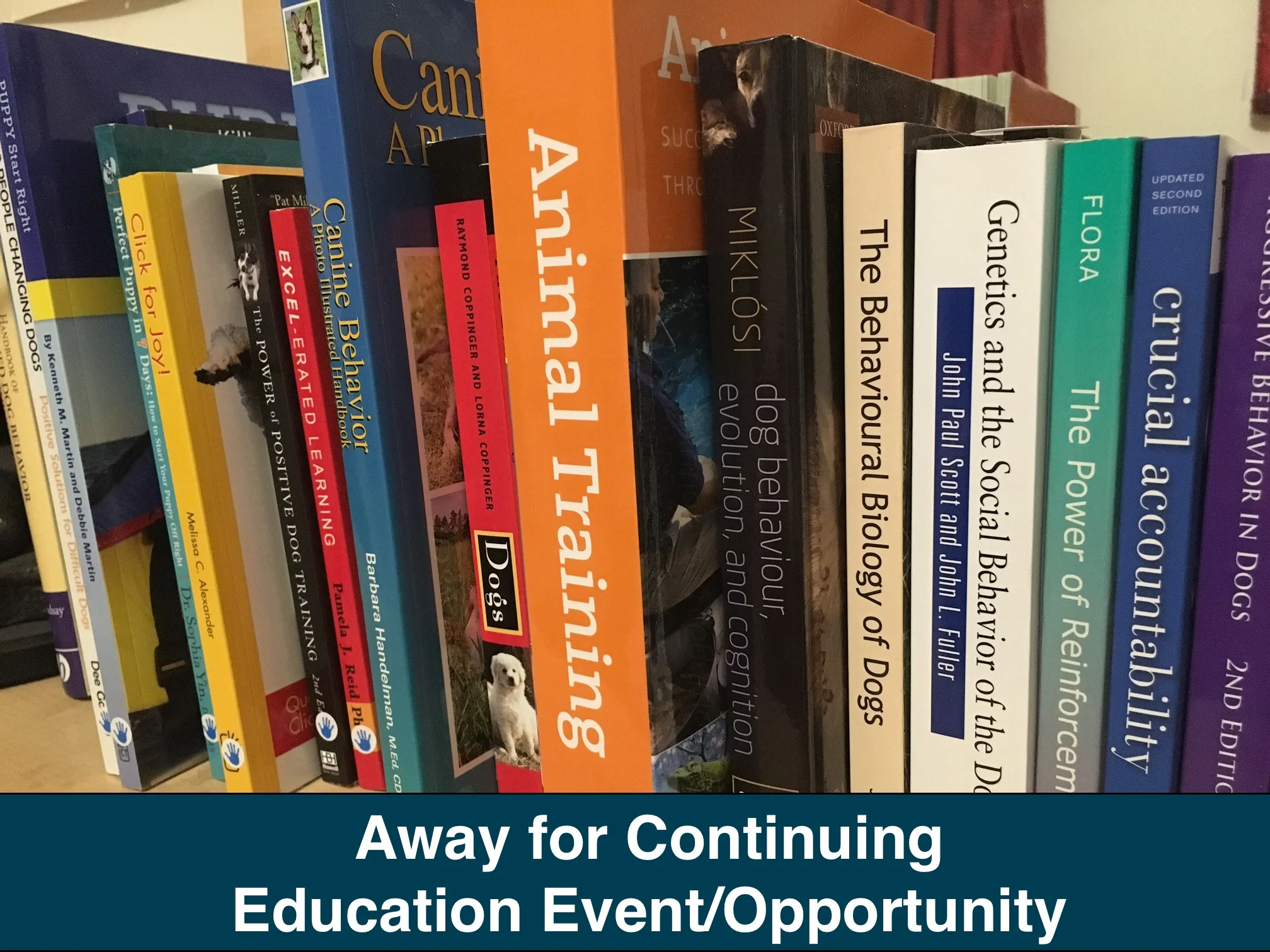 Continuing Education Event