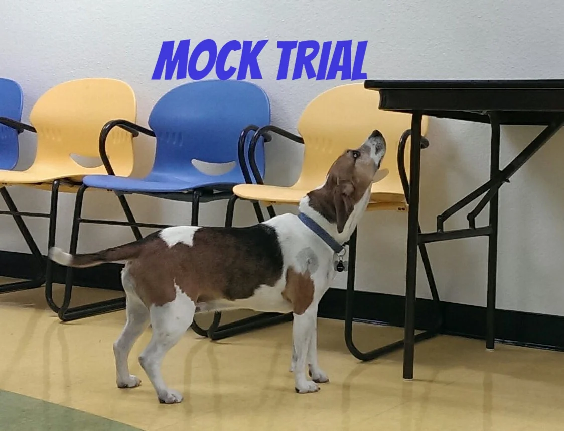 Mock Trial Event