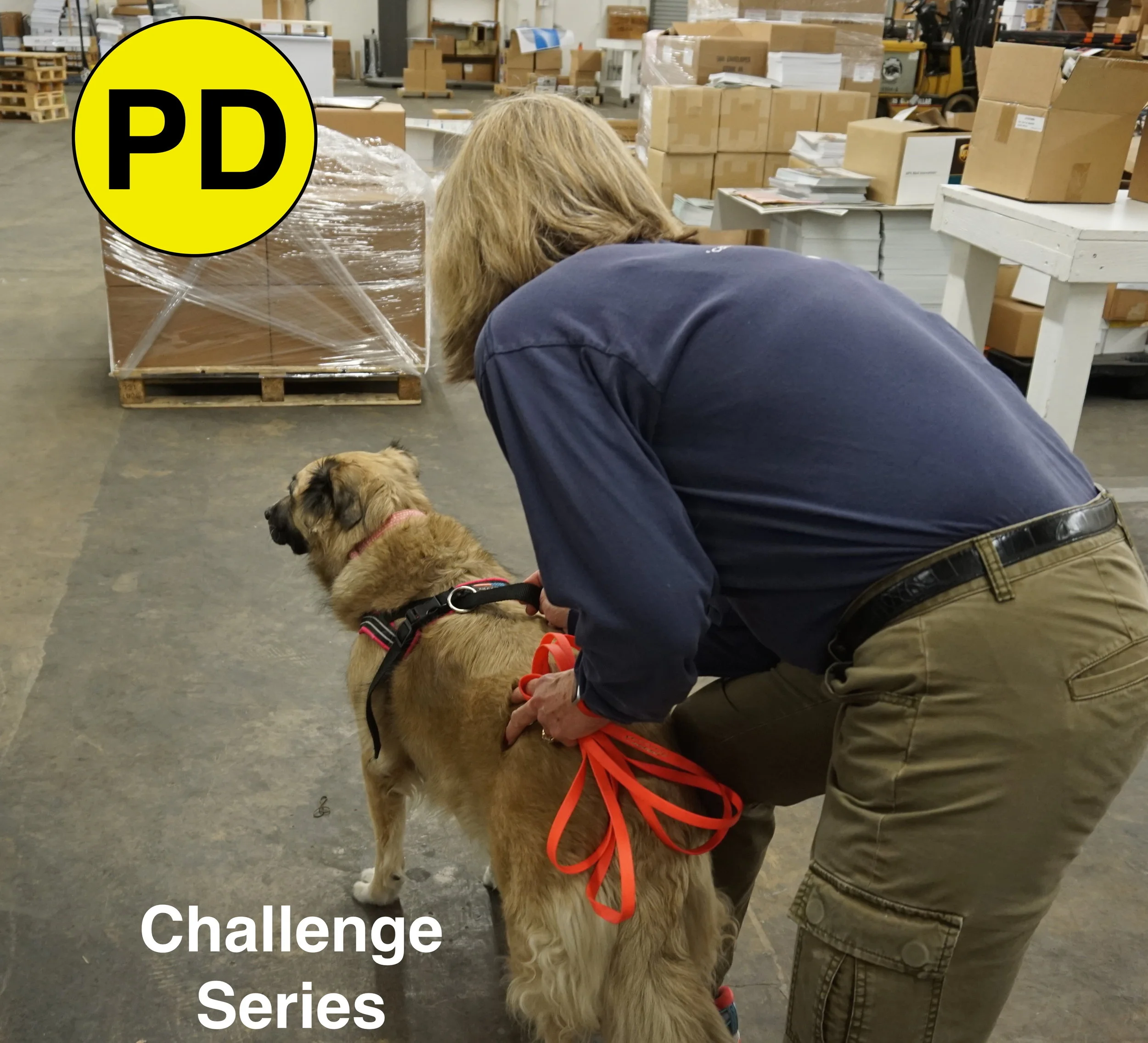 Challenge Series