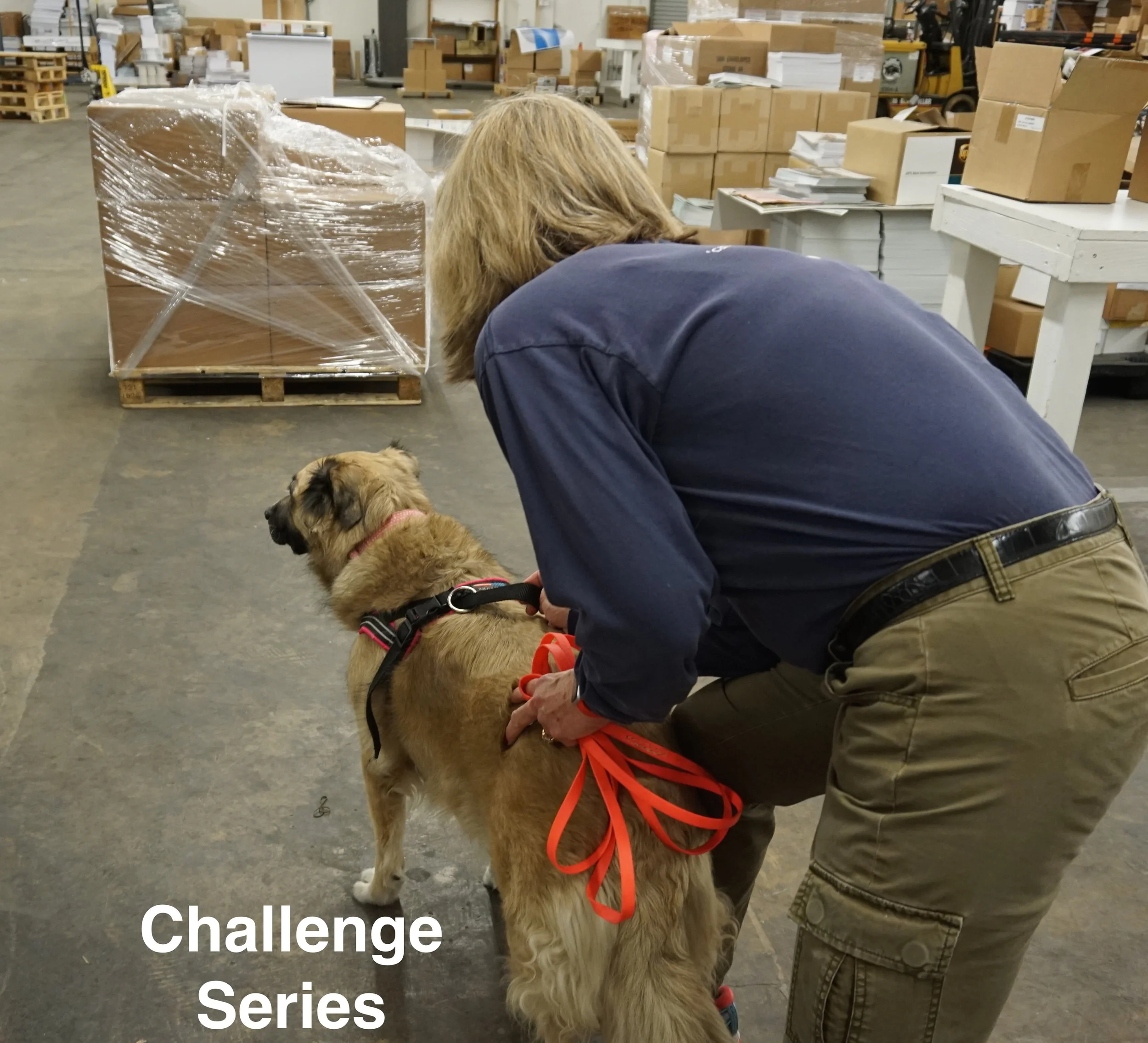 FINAL Challenge Series Calendar Pic.JPG