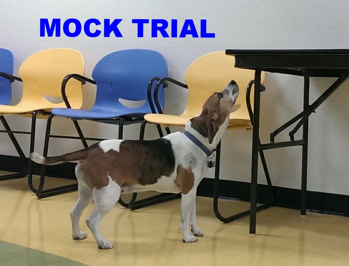 Mock Trial & Mock PLUS