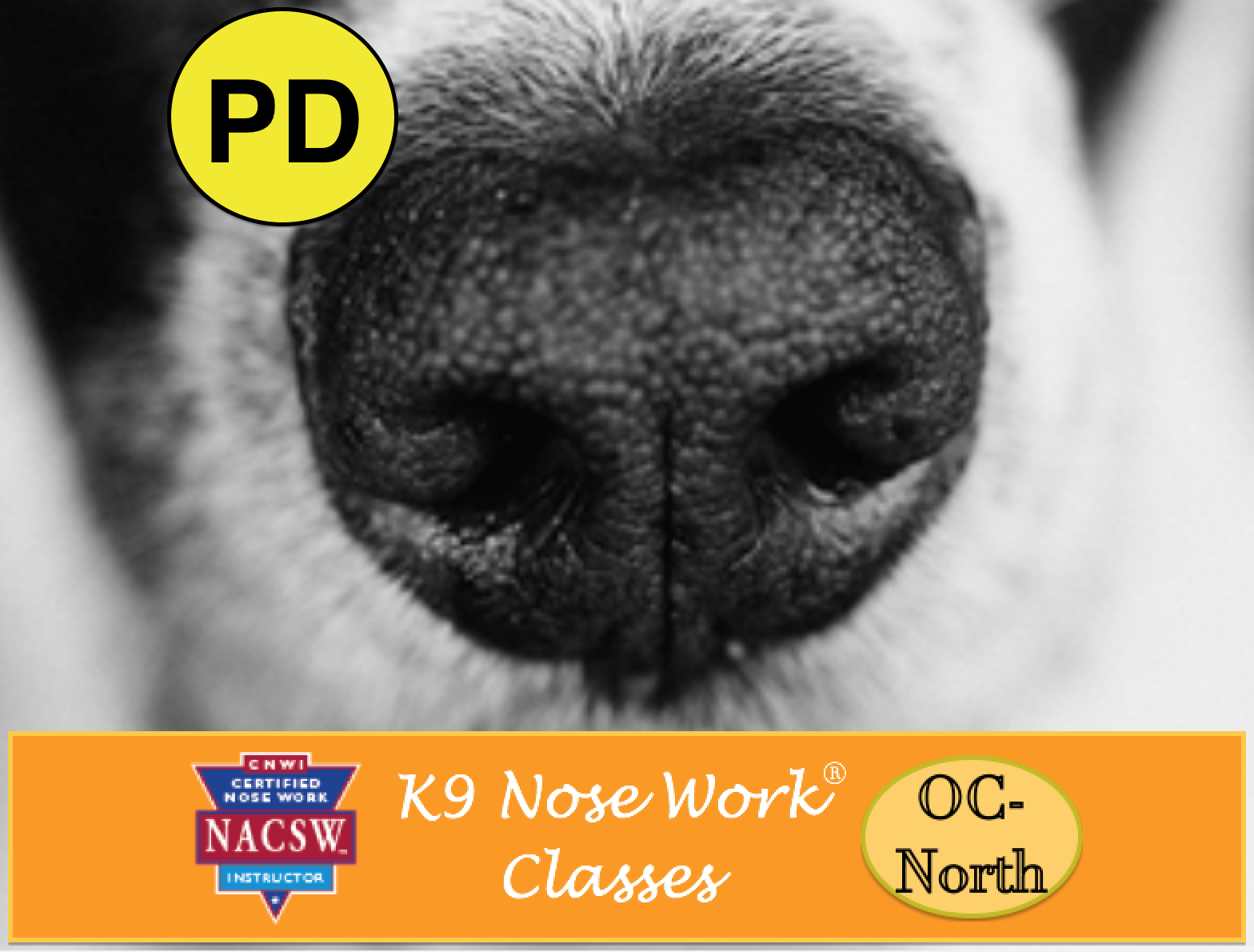 Weekly No OC K9 Nose Work® Classes