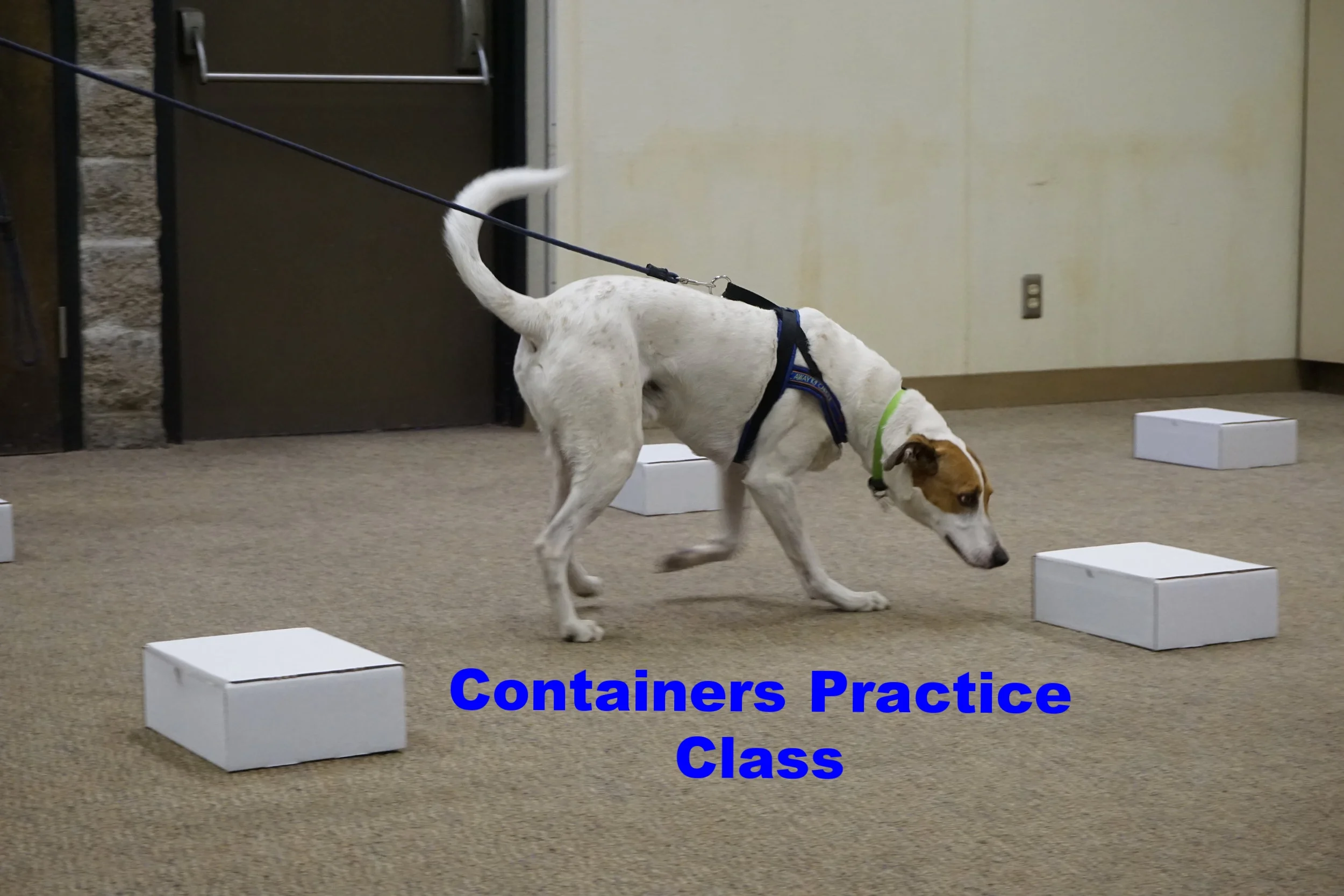 Containers Practice Class