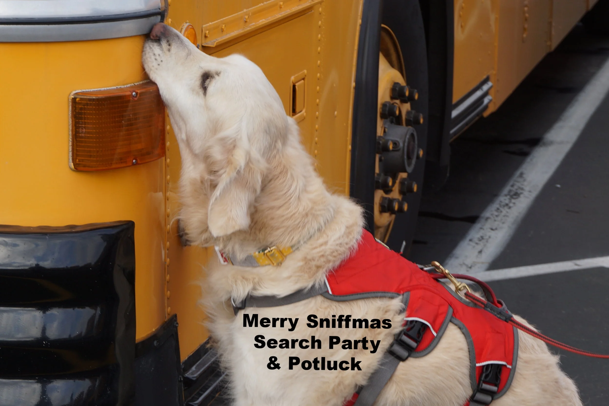 Merry Sniffmas Search Party & Potluck 