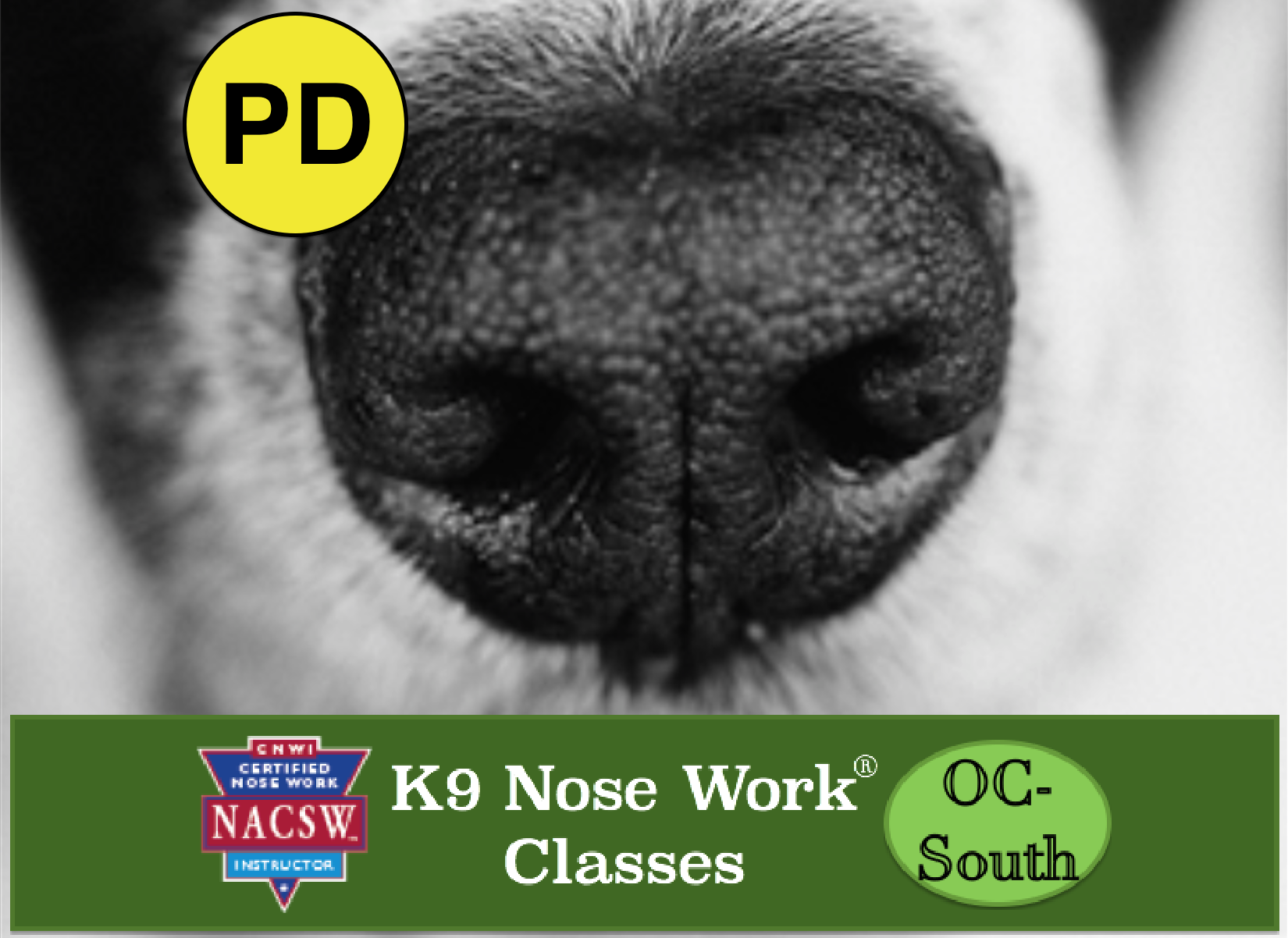 Weekly So OC K9 Nose Work® Classes