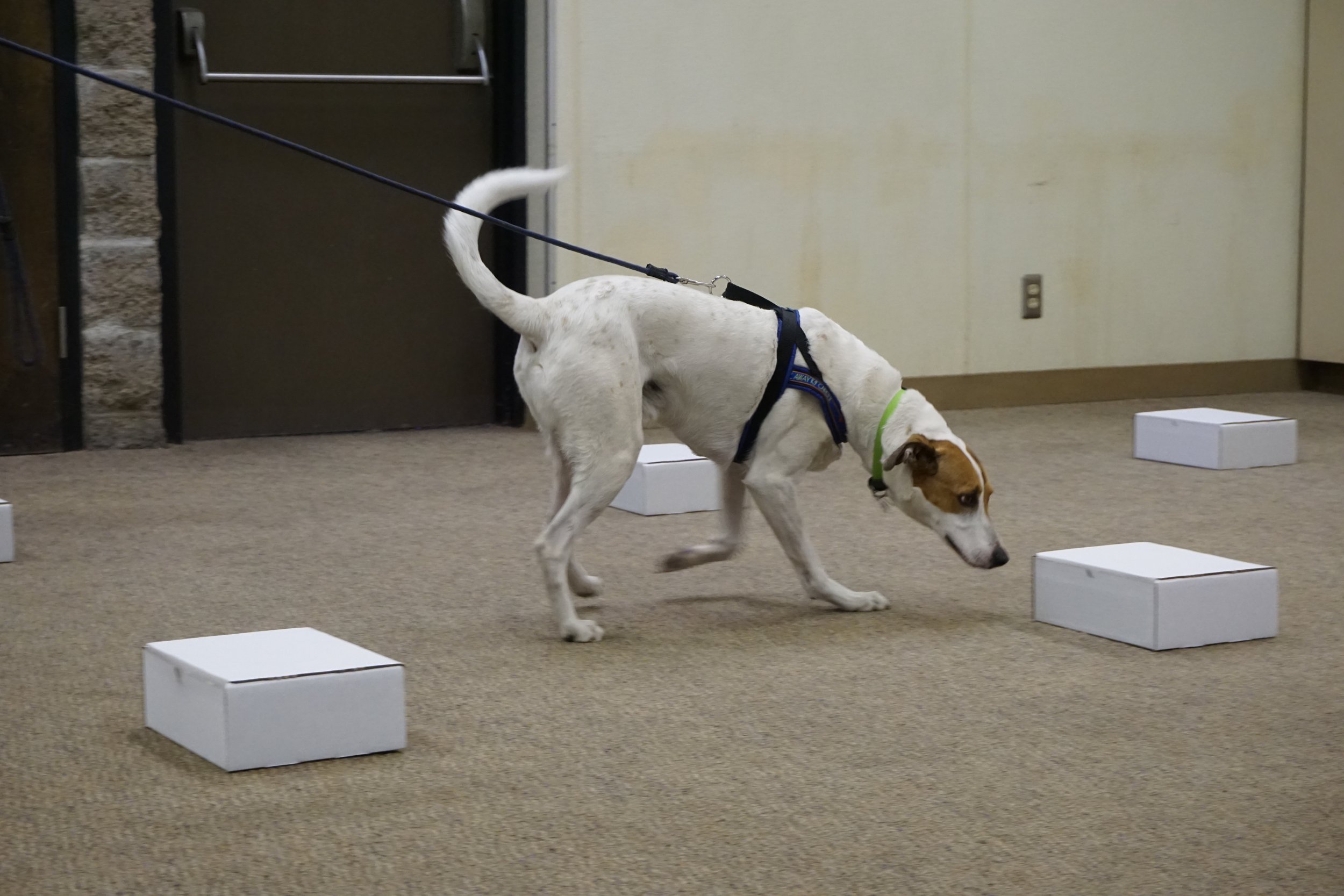 Container's Practice Class (Costa Mesa)