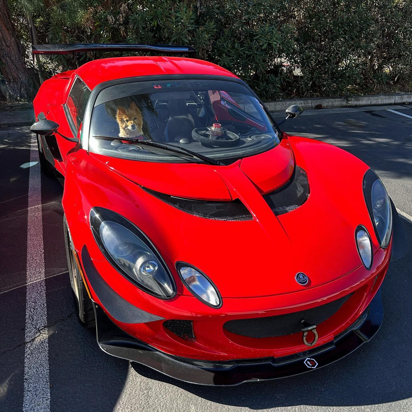 Man&rsquo;s best friend&hellip;oh, and a dog. 😅 #lotus #doggo #trackspecautosports