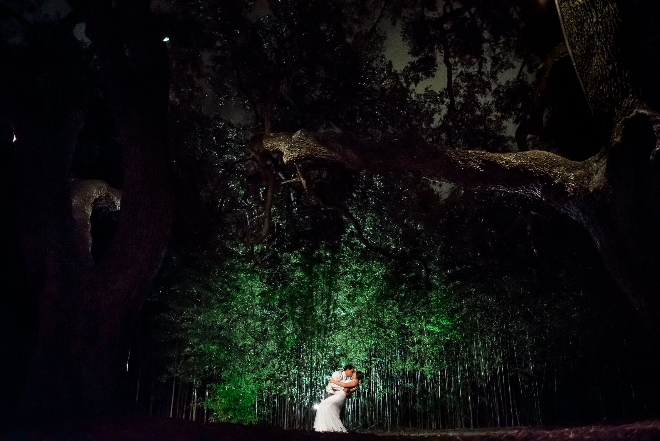 Alex and Austin Wedding Photography at Mercury Hall in Texas-165.jpg