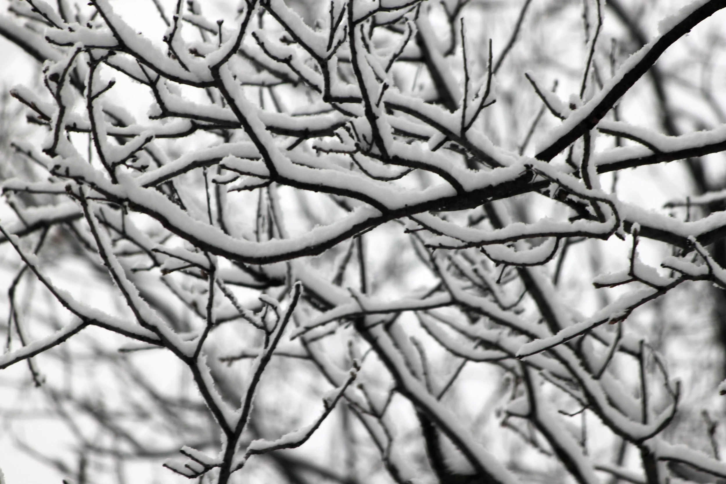 Why the Winter Months Can Make You SAD