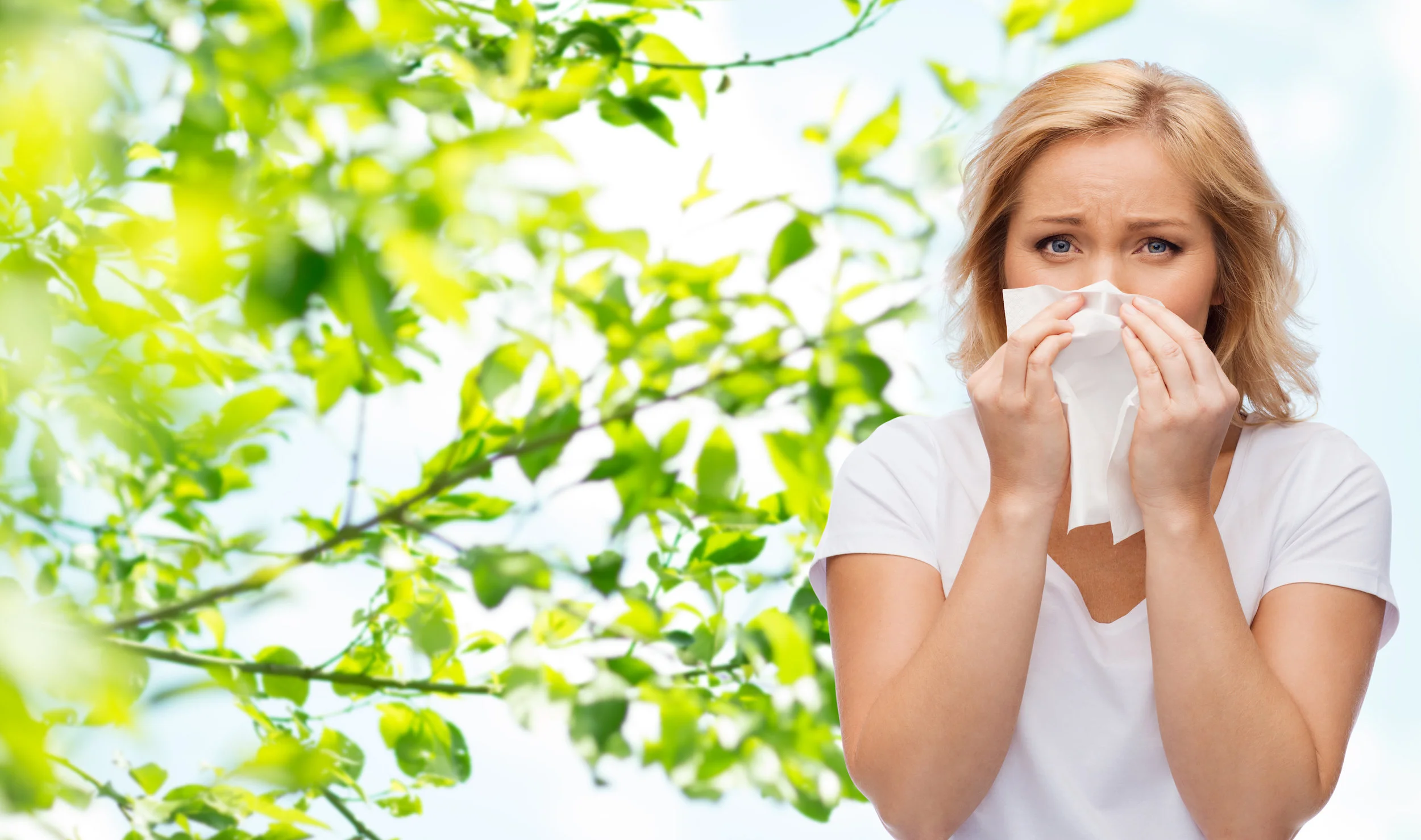 Wholistic Tips for Seasonal Allergies
