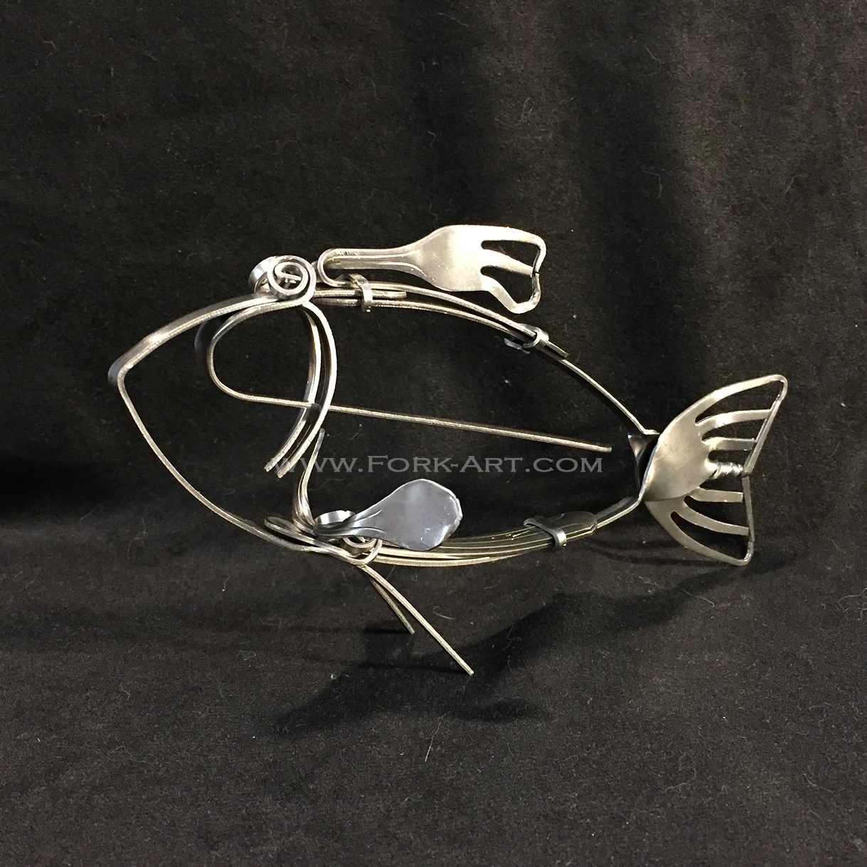 freshwater river fish.jpg