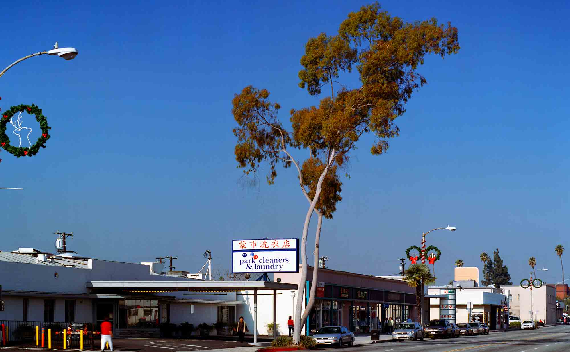 34-Eucalyptus-#32,-Monterey-Park,-2004.jpg