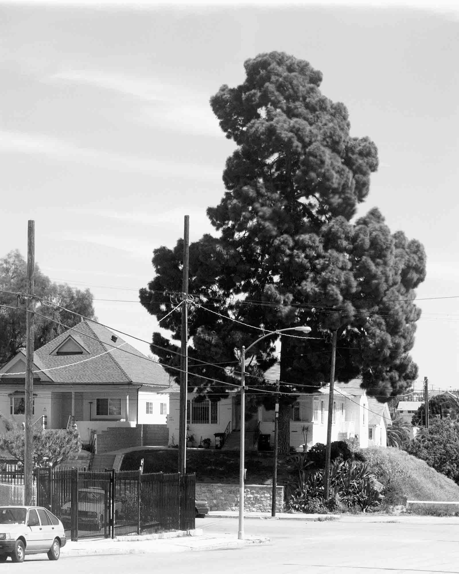 05-Pine-#2,-Angelino-Heights,-2003.jpg