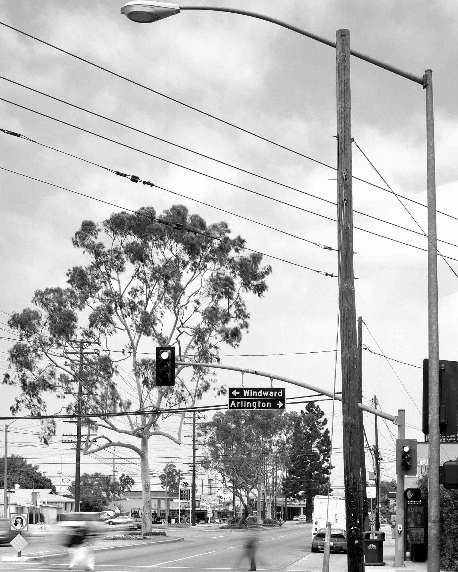 30-Eucalyptus-#27,-Long-Beach,-2004.jpg