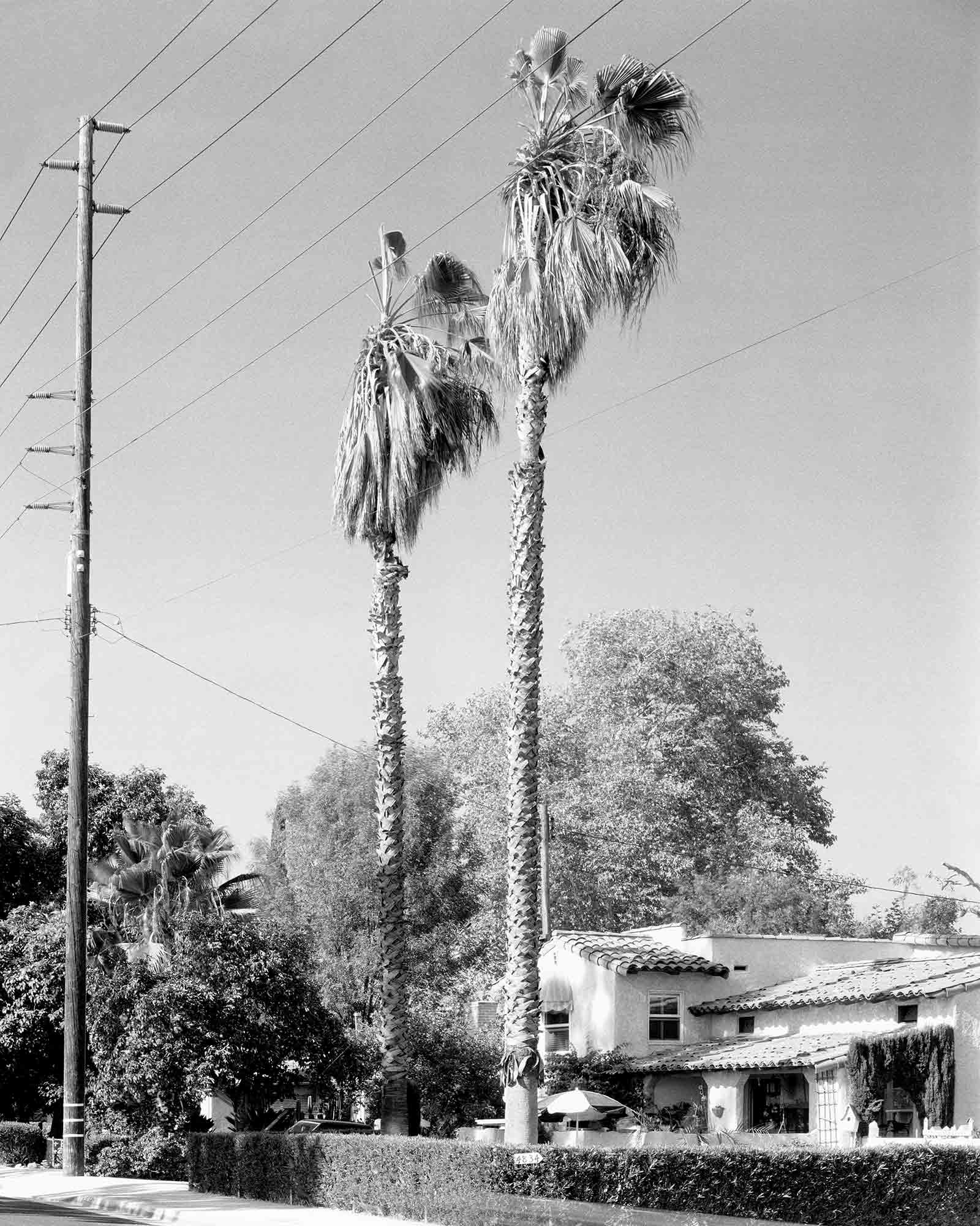 36-Palm-#46,-Temple-City,-2004.jpg