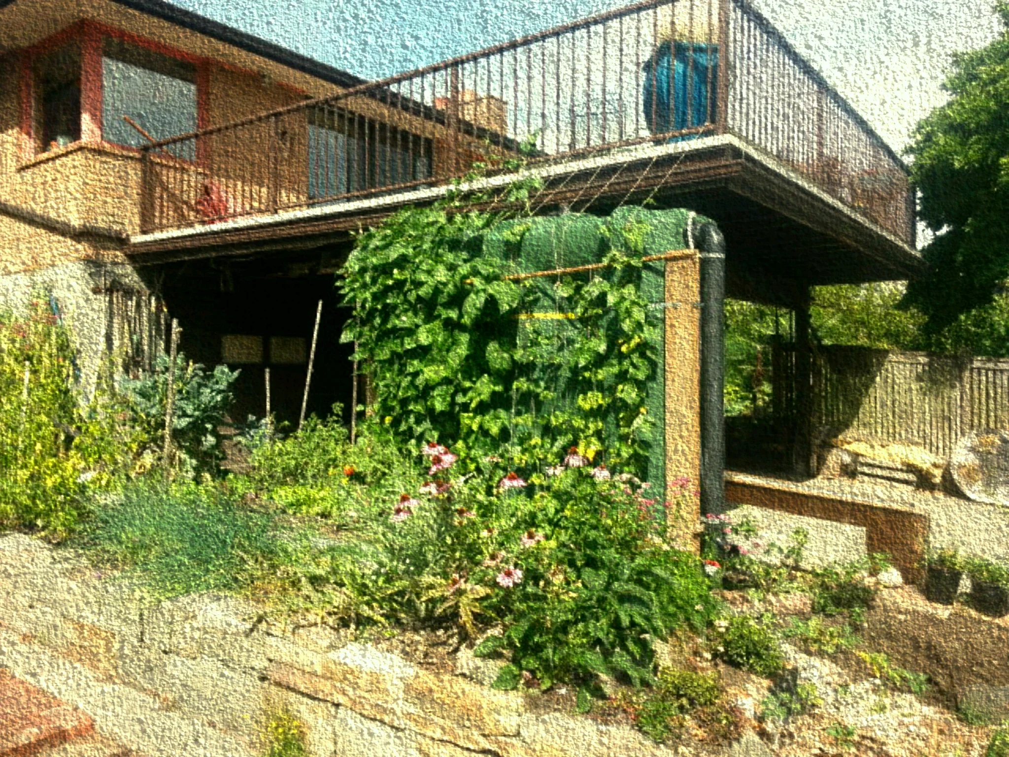Rain Gardens and Cisterns