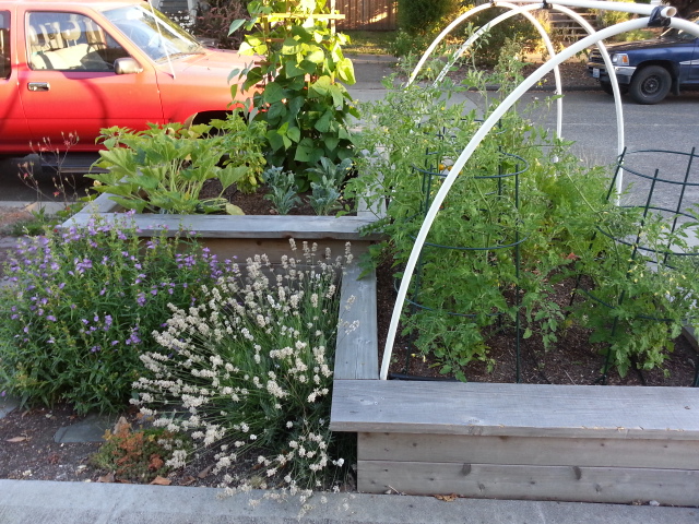 2013-07-26 19.56.14.jpg