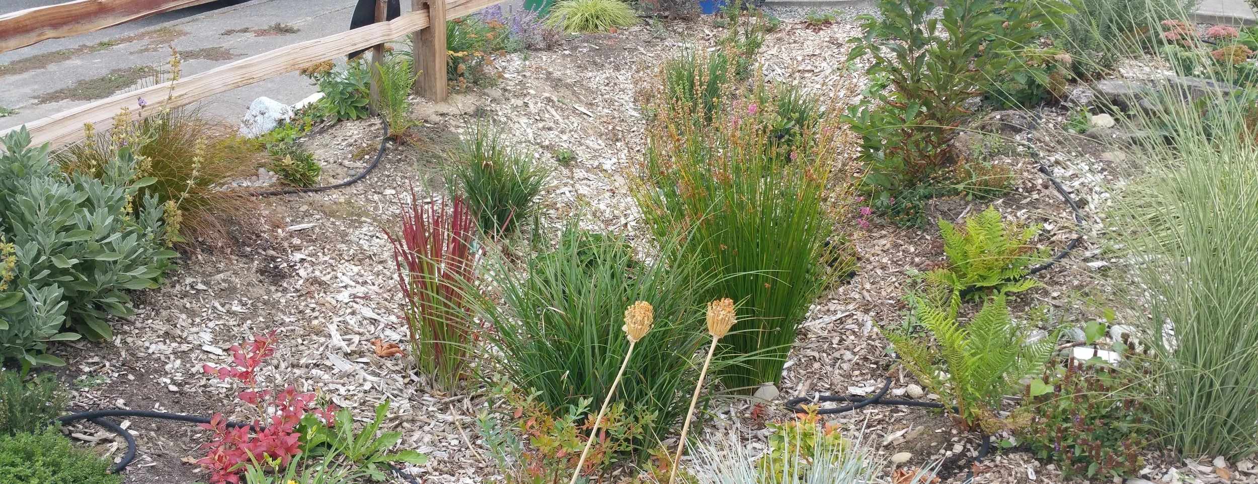 20160905_164027.jpg