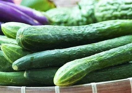 Cucumber (Cucumis sativus) *Multiple Varieties Available*