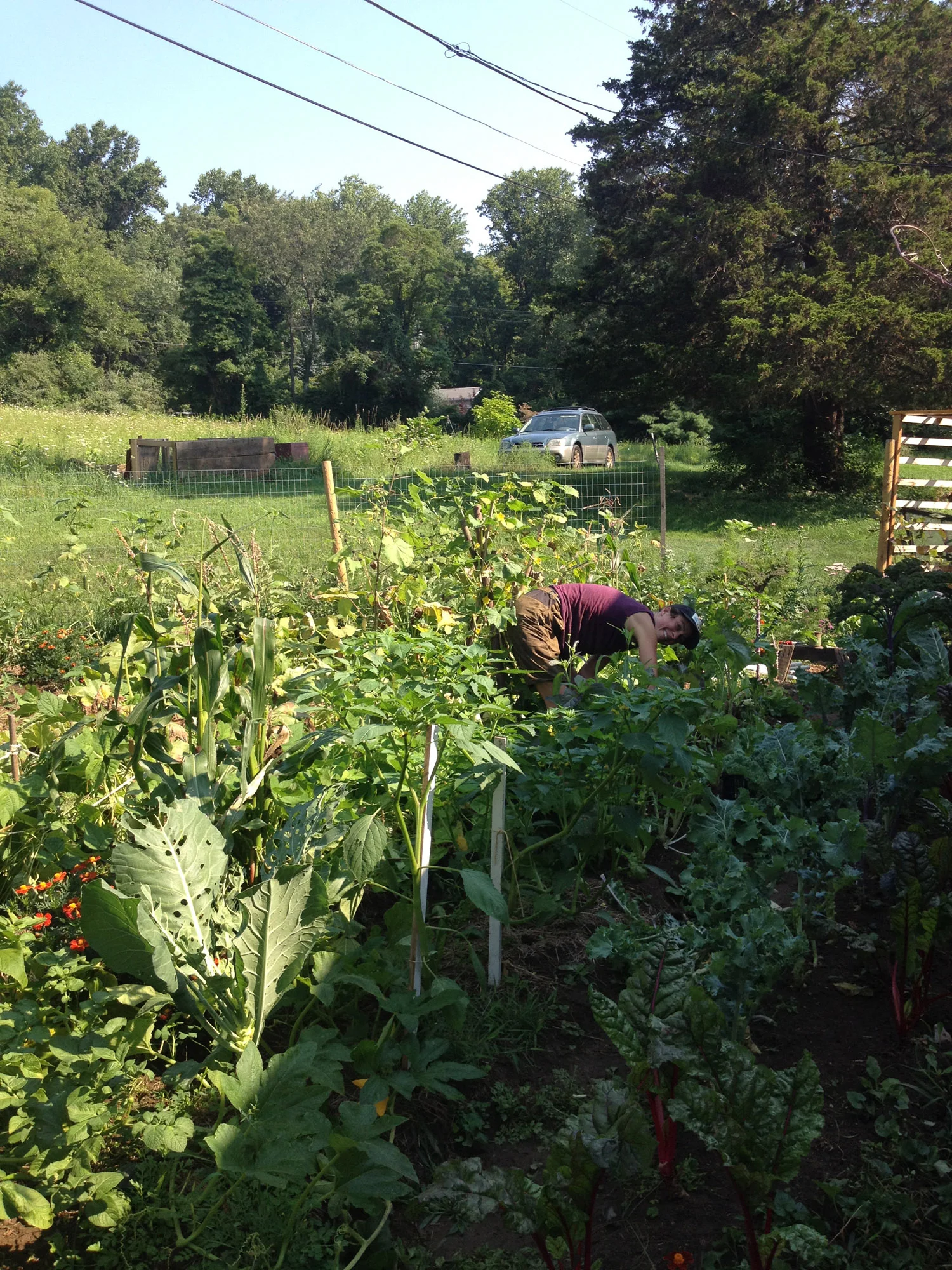 juliagarden.web.JPG