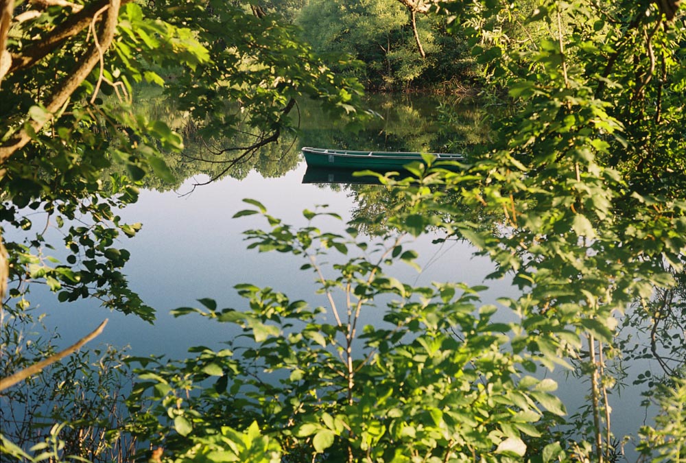 canoedamianweb.jpg
