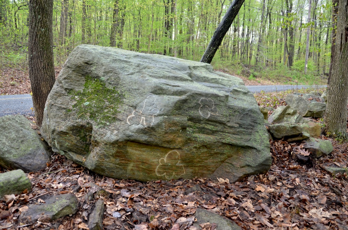 image_6.jpg