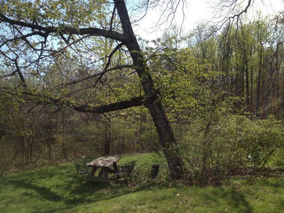 picnictable.jpg