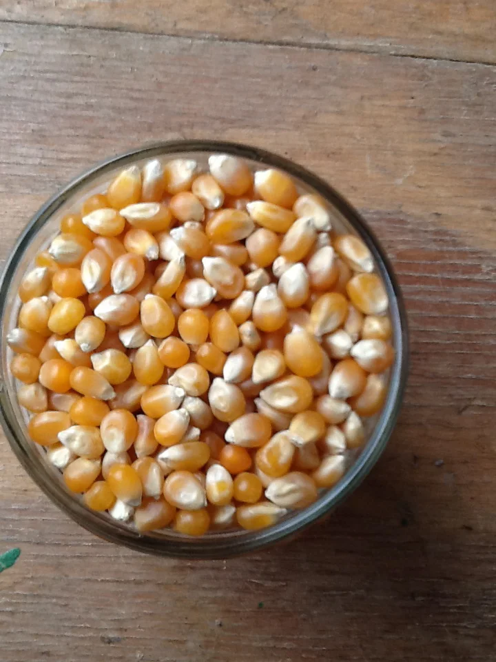 Open Residency - Four Day Intensive