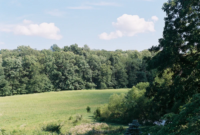 fieldandpath.web.jpg