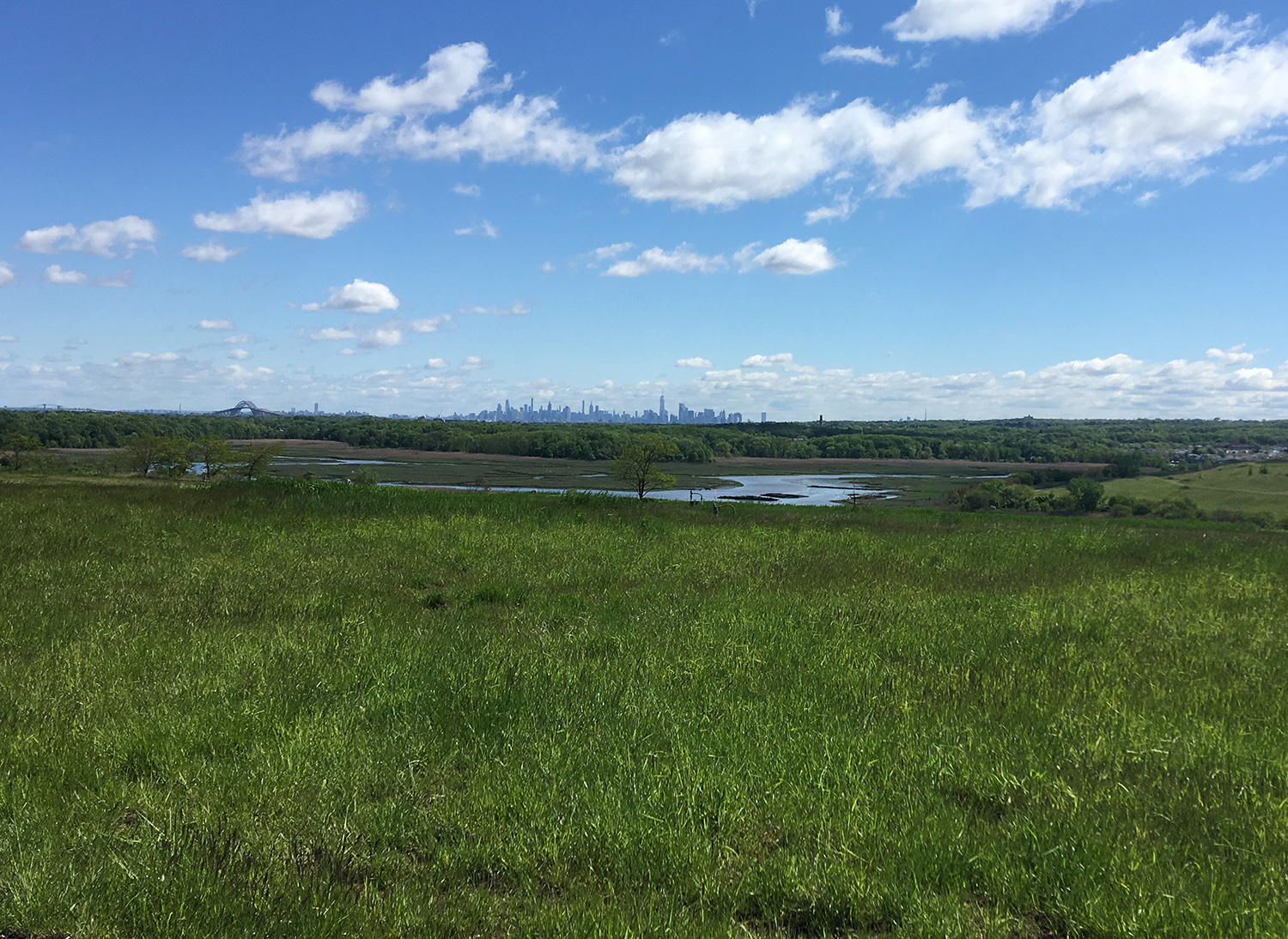 freshkills1.jpg