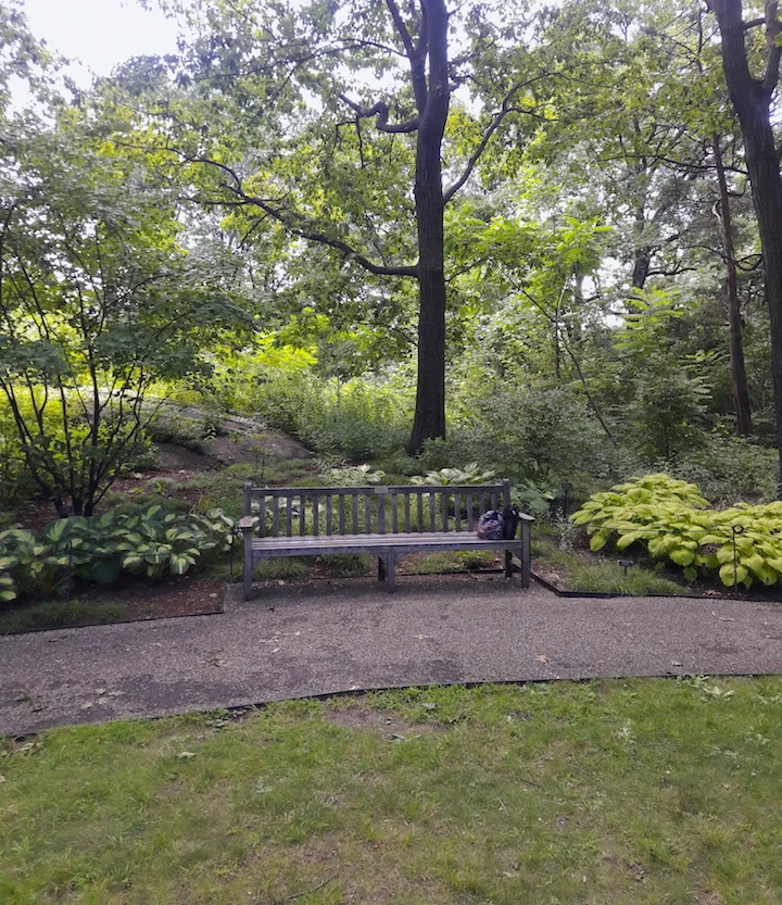 bench.jpg