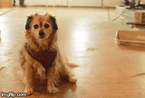 All work was completed under Pancho's strict supervision.