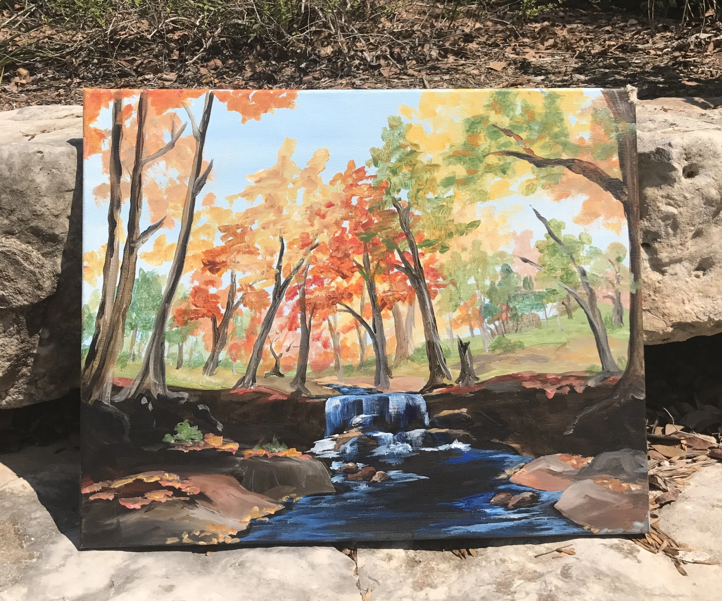 The Falls in the Fall