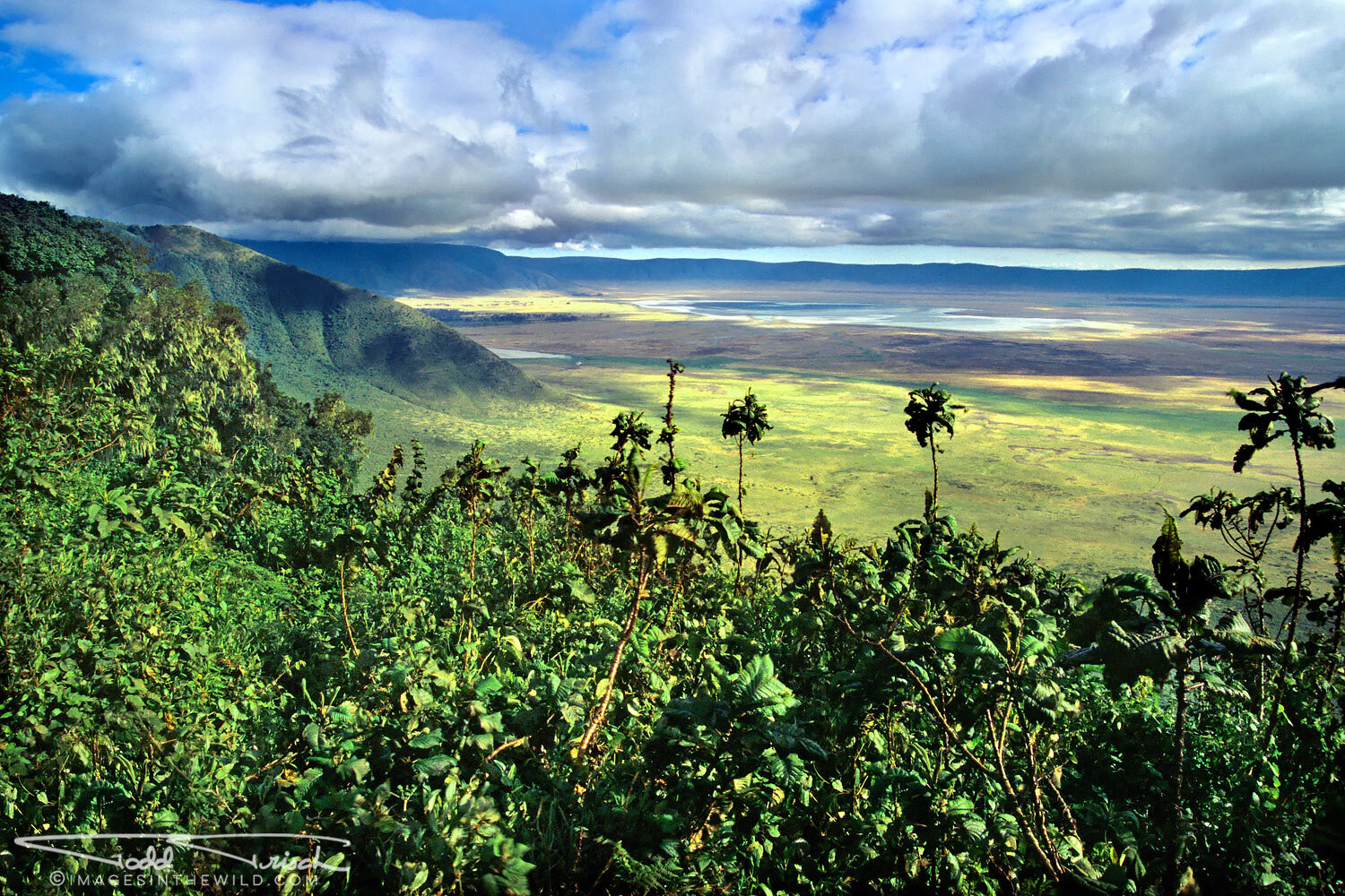 Ngorongoro Crater