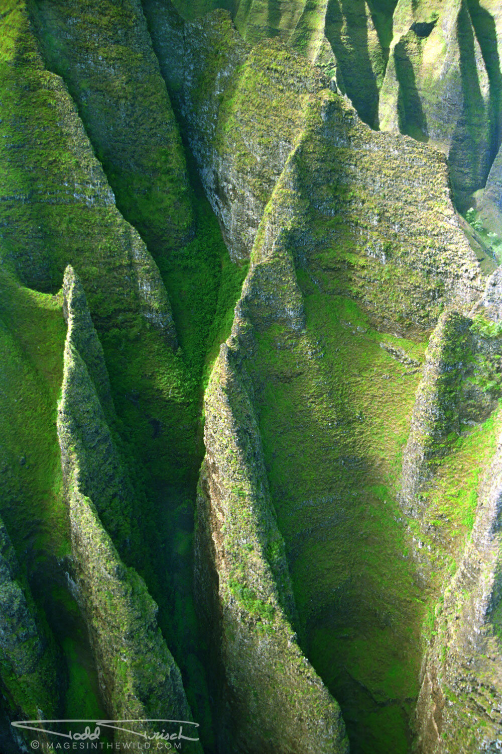 Na Pali Coast Cathedrals (Kauai - From helicopter)