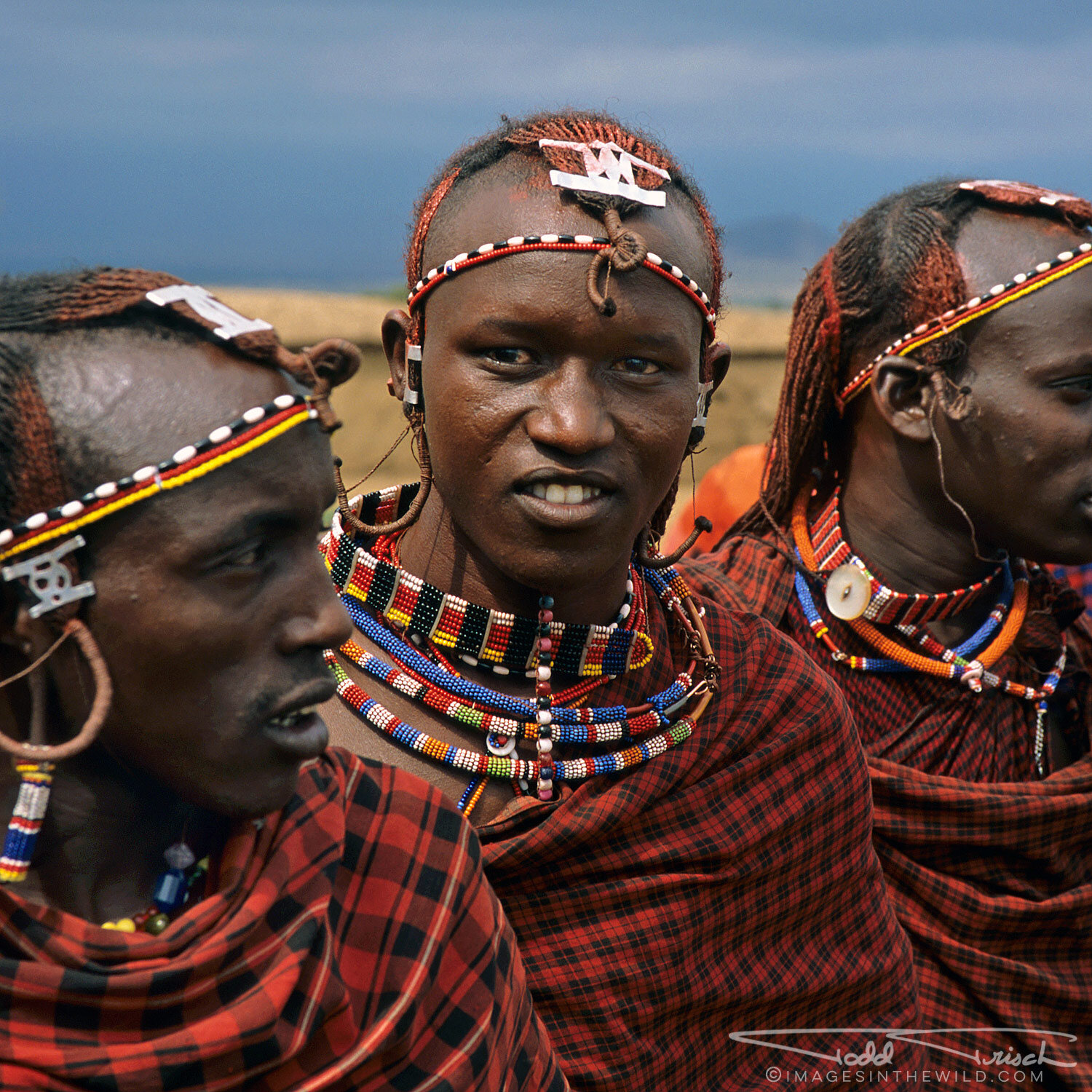 Maasai Warriors 