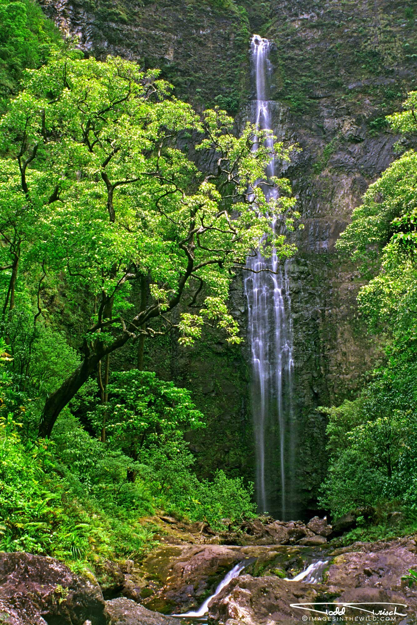 Hanakapi’ai Falls (Kauai)