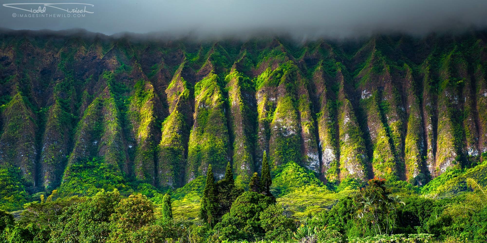 Ko'olau Range (Oahu)